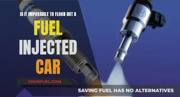 Fuel Injected Cars: Flood-Proof or Not?