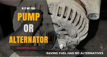 Fuel Pump vs. Alternator: Diagnosing Your Car's Electrical Issues