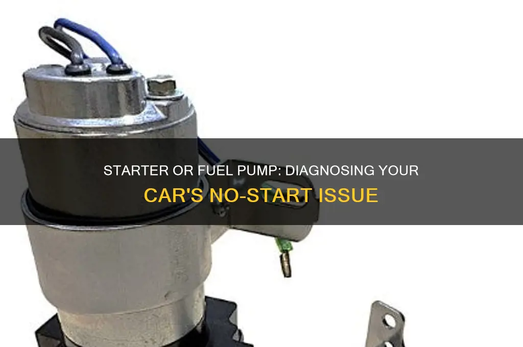 is it my starter or fuel pump