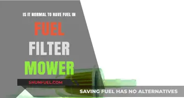 Fuel in Your Fuel Filter: What's Normal for Mowers?