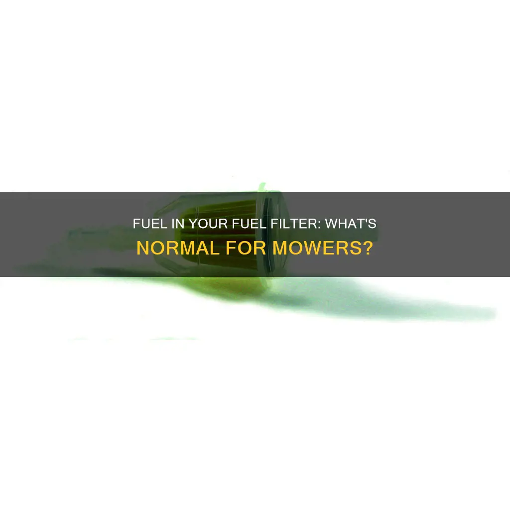 is it normal to have fuel in fuel filter mower