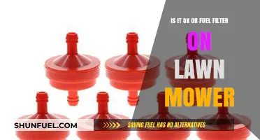 Lawn Mower Fuel Filter: Change or Not?