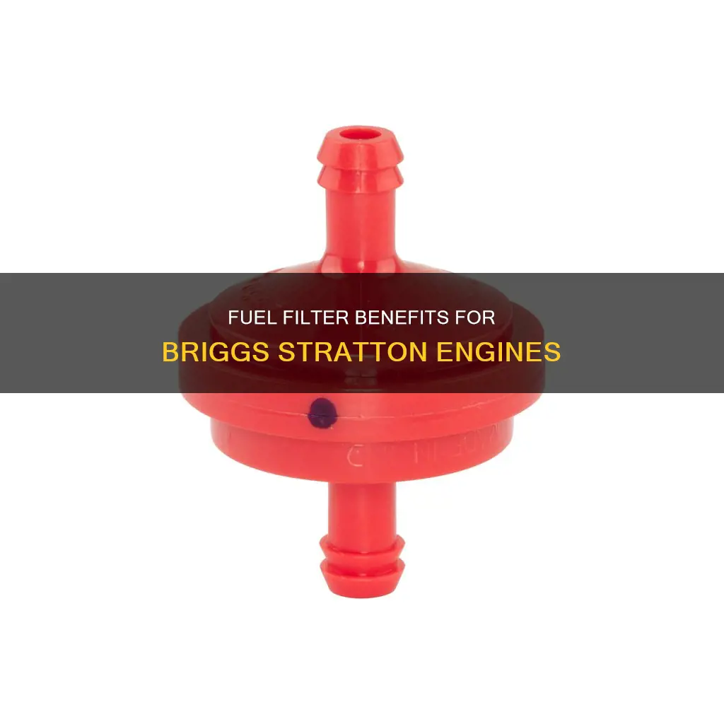 is it ok to add fuel filter to briggs stratton