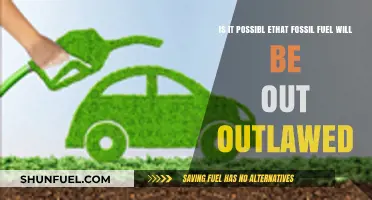 The End of Fossil Fuels: Will It Be Outlawed?