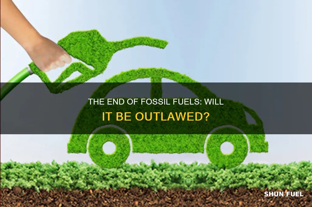 is it possibl ethat fossil fuel will be out outlawed