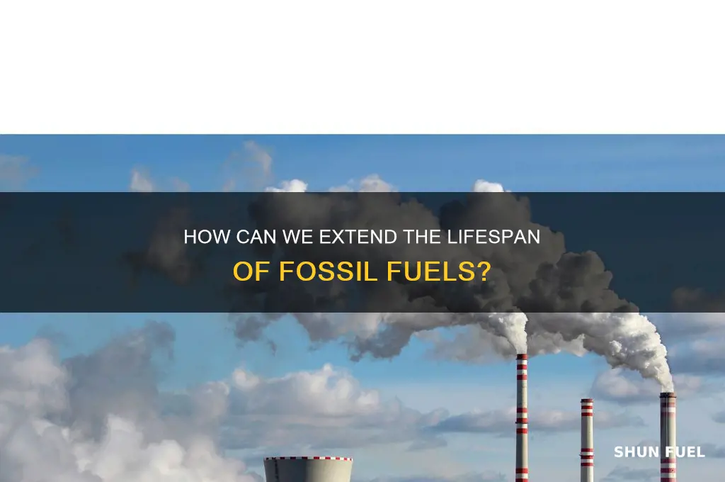 is it possible to extend lifetime of fossil fuels