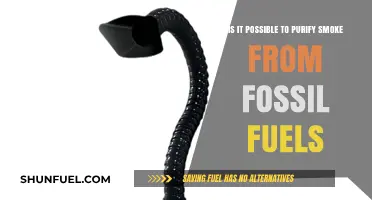 Purifying Smoke: Fossil Fuels' Future?