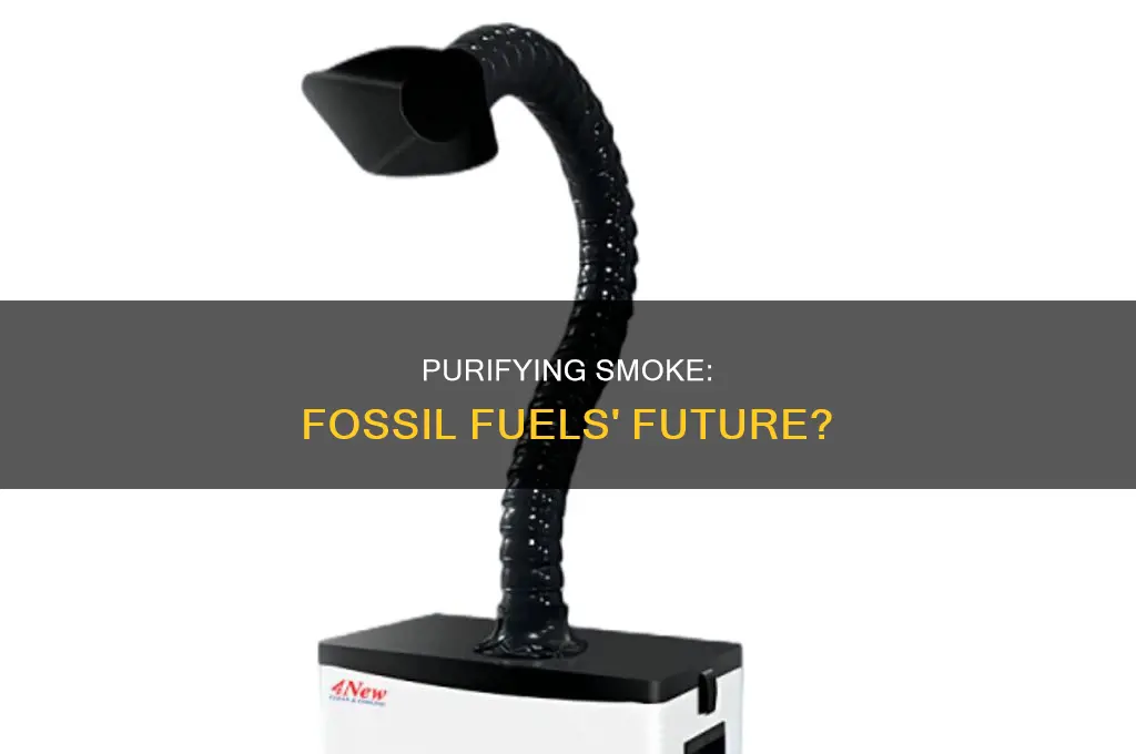 is it possible to purify smoke from fossil fuels
