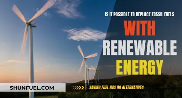 Renewable Energy: Can It Replace Fossil Fuels?