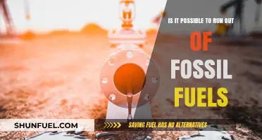 The End of Fossil Fuels: An Inevitable Reality?