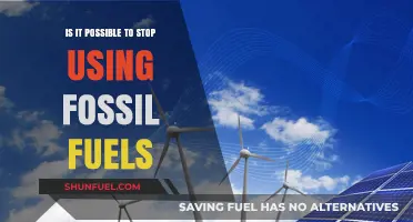 Can We Live Without Fossil Fuels?
