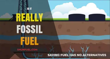 Fossil Fuel: The Misunderstood Energy Source