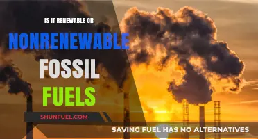 Fossil Fuels: Renewable or Non-renewable Energy Sources?
