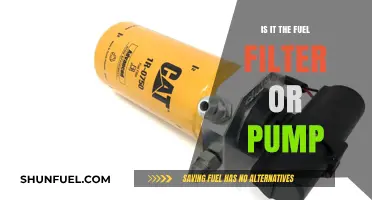 Fuel Filter or Pump: What's the Real Issue?