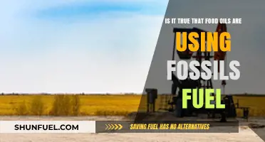 How Food Oils Are Linked to Fossil Fuels