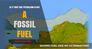 Petroleum: Fossil Fuel or Misconception?