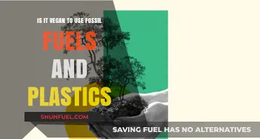 Veganism and Fossil Fuels: Ethical or Not?