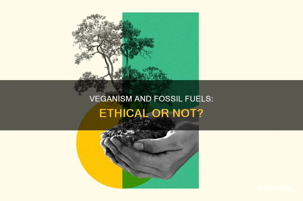is it vegan to use fossil fuels and plastics