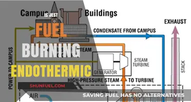 Is Jest Fuel Burning Endothermic? Unraveling the Science Behind It