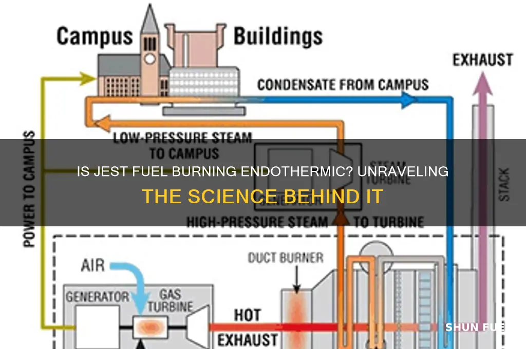 is jest fuel burning endothermic