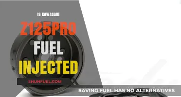 Kawasaki Z125 Pro: Fuel Injection System Explained