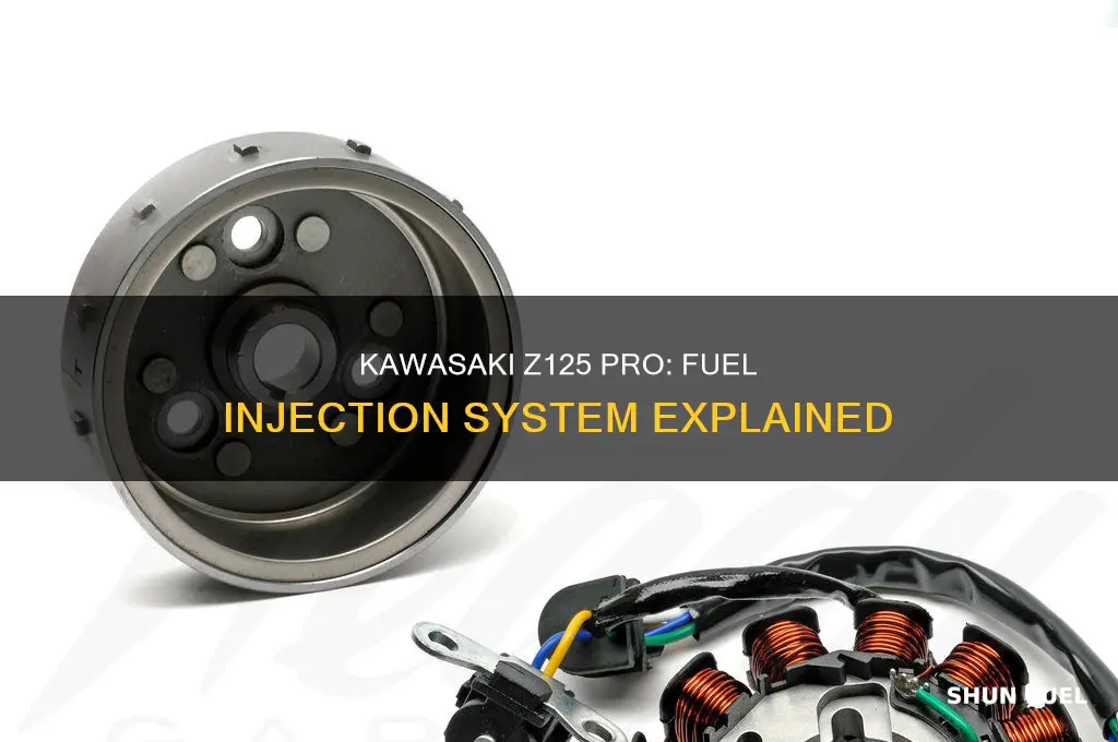is kawasaki z125pro fuel injected
