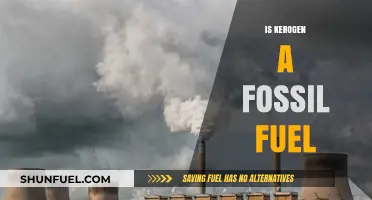 Kerogen: Fossil Fuel or Not?