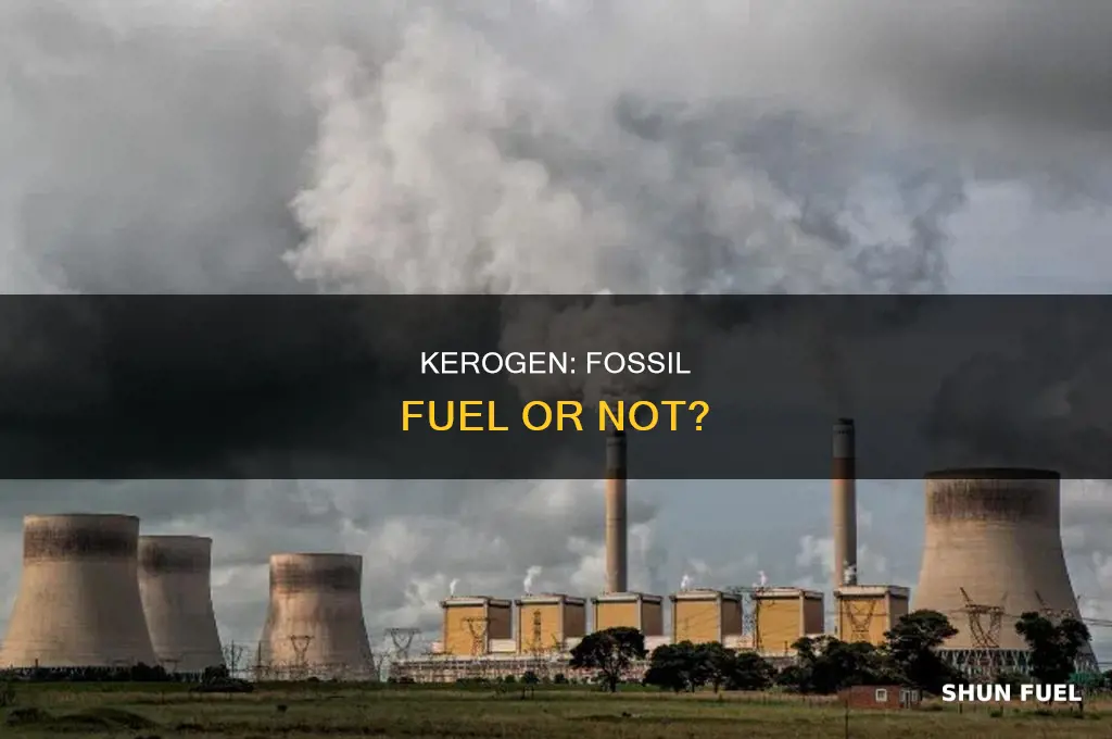 is kerogen a fossil fuel