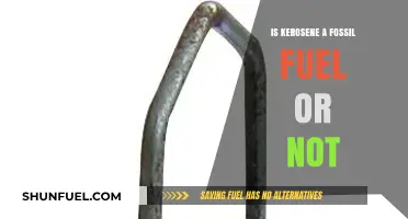 Kerosene: Fossil Fuel or Not?