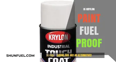Is Krylon Paint Fuel Proof? A Comprehensive Durability Review