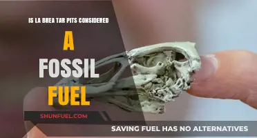 La Brea Tar Pits: Fossil Fuel or Natural Wonder?