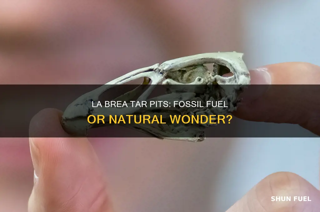 is la brea tar pits considered a fossil fuel