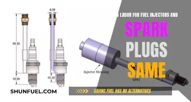Fuel Injectors and Spark Plugs: Similar Labor Requirements?