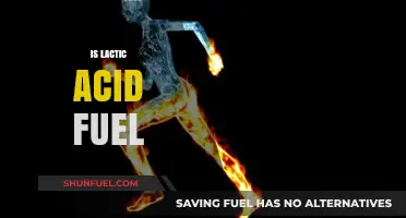 Is Lactic Acid a Fuel? Unlocking Its Role in Energy Metabolism