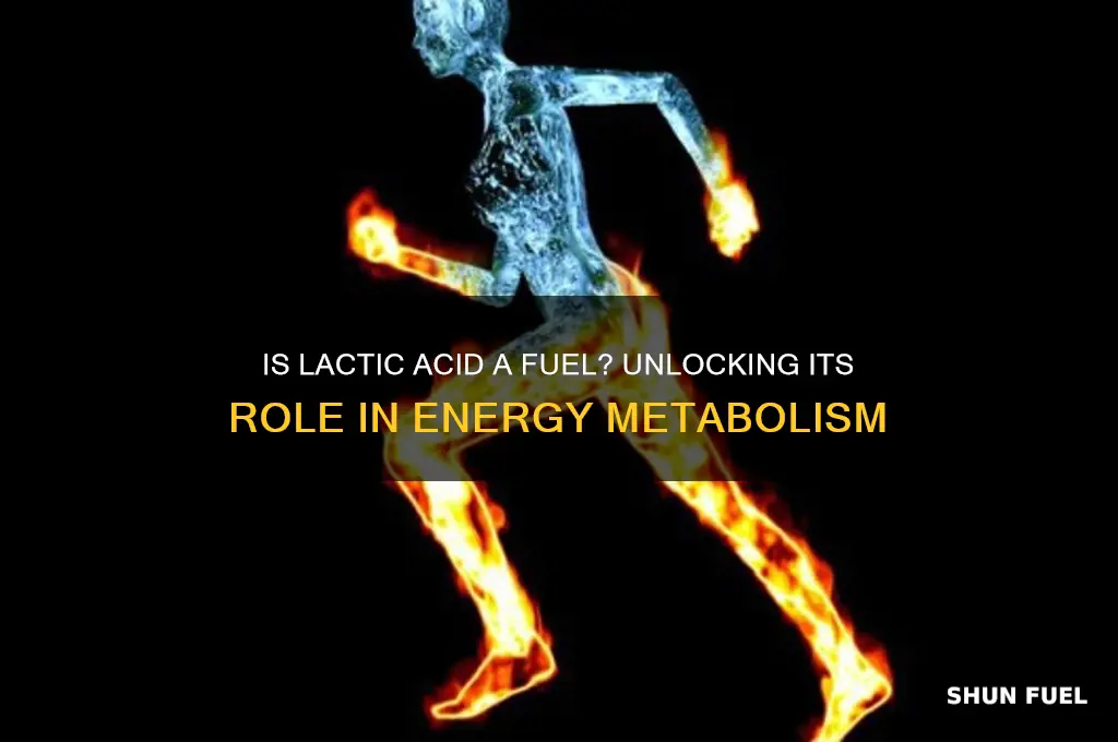 is lactic acid fuel