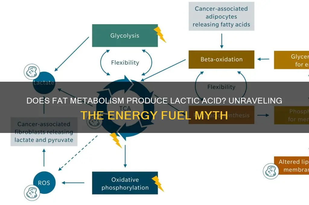 is lactic acid produced when fats are used for fuel
