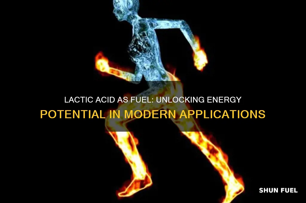is lactic acid used as fuel