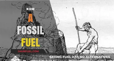 The Misconception of Lead: Fossil Fuel or Not?