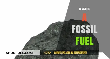 Lignite: A Fossil Fuel With Environmental Impacts
