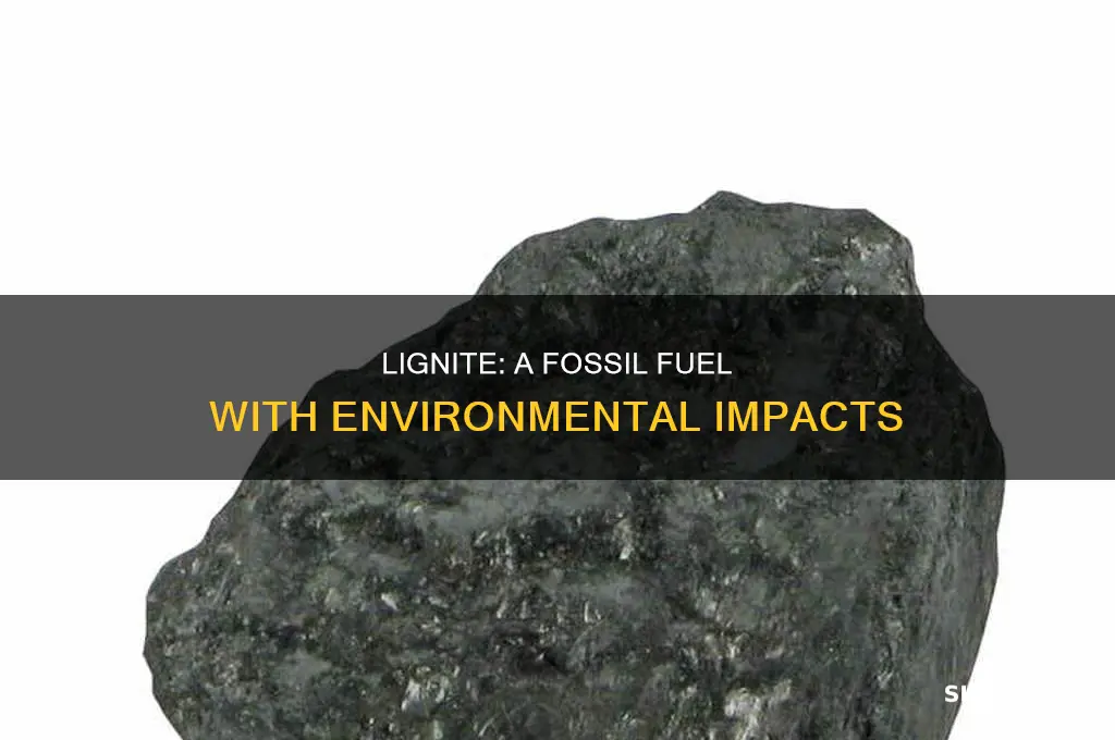 is lignite a fossil fuel