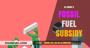 LiHEAP: A Subsidy for Fossil Fuel Dependence?