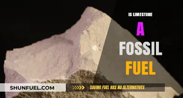 Limestone and Fossil Fuels: What's the Connection?