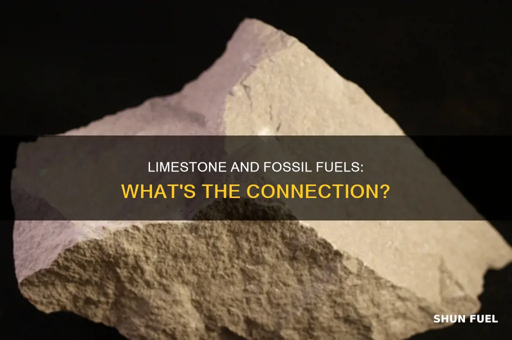 is limestone a fossil fuel