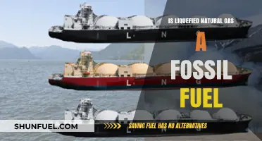 Liquefied Natural Gas: Fossil Fuel or Not?