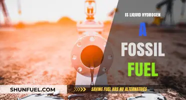 Liquid Hydrogen: Fossil Fuel or Not?