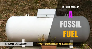 Propane: Fossil Fuel or Not?
