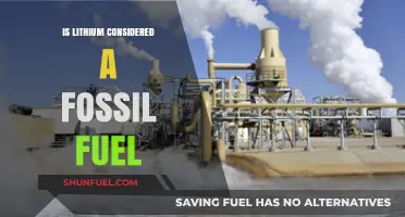 The Energy Source: Lithium vs. Fossil Fuels