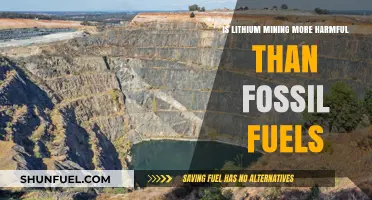 Lithium Mining: Greener Energy or Environmental Disaster?