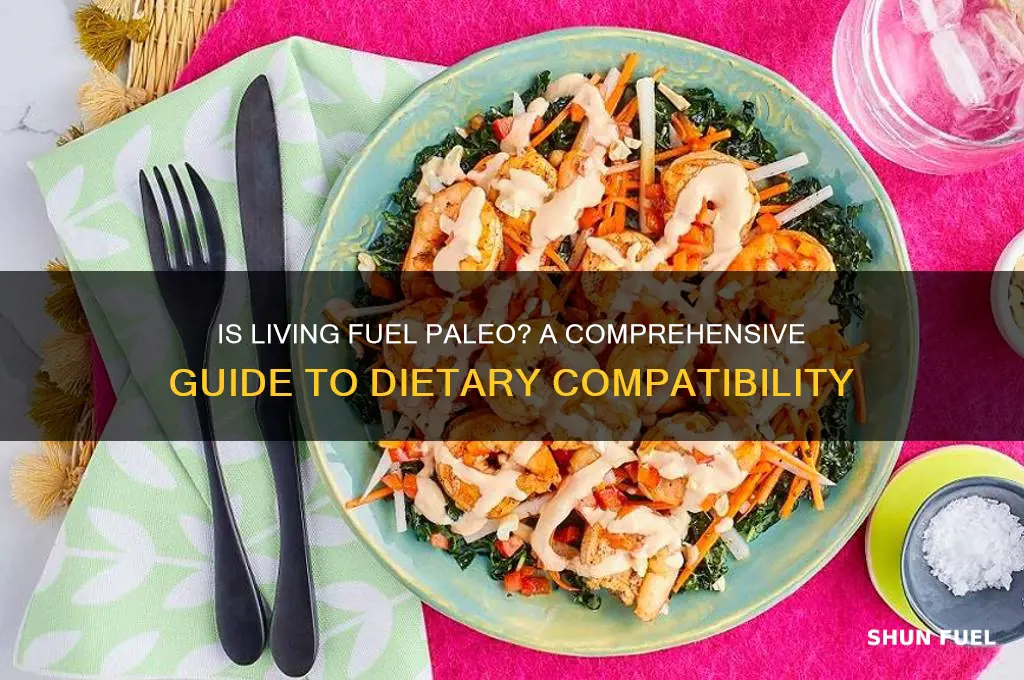 is living fuel paleo