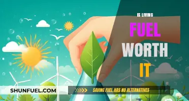 Is Living Fuel a Sustainable Investment for Your Future?